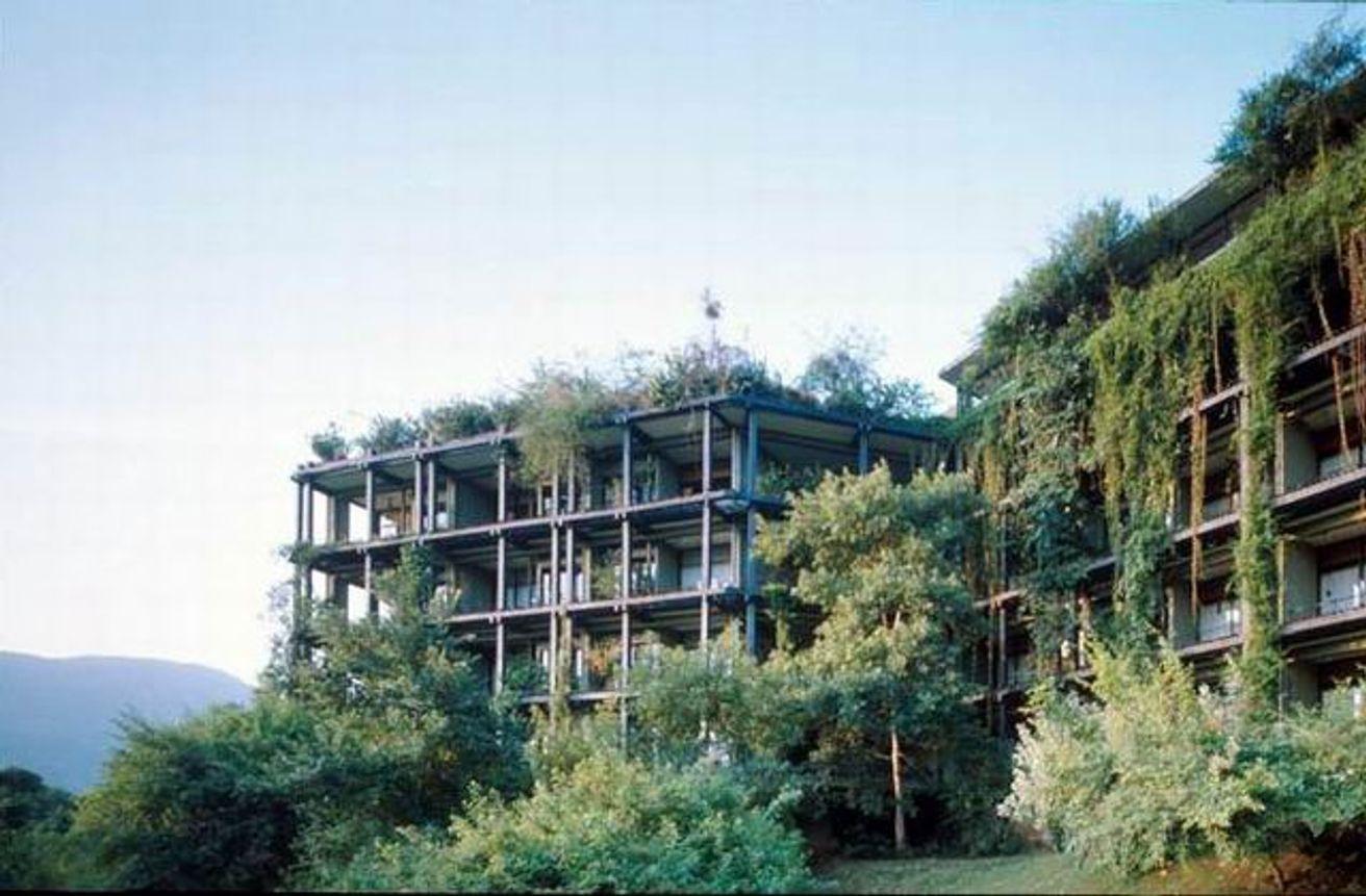 The Kandalama Hotel by Geoffrey Bawa, its concrete frame covered in vegetation above the jungle
