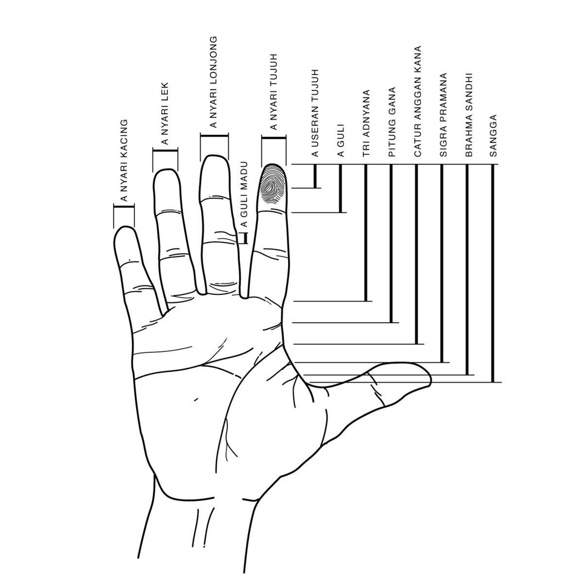 Diagram of Balinese sikut measurements taken from the hand