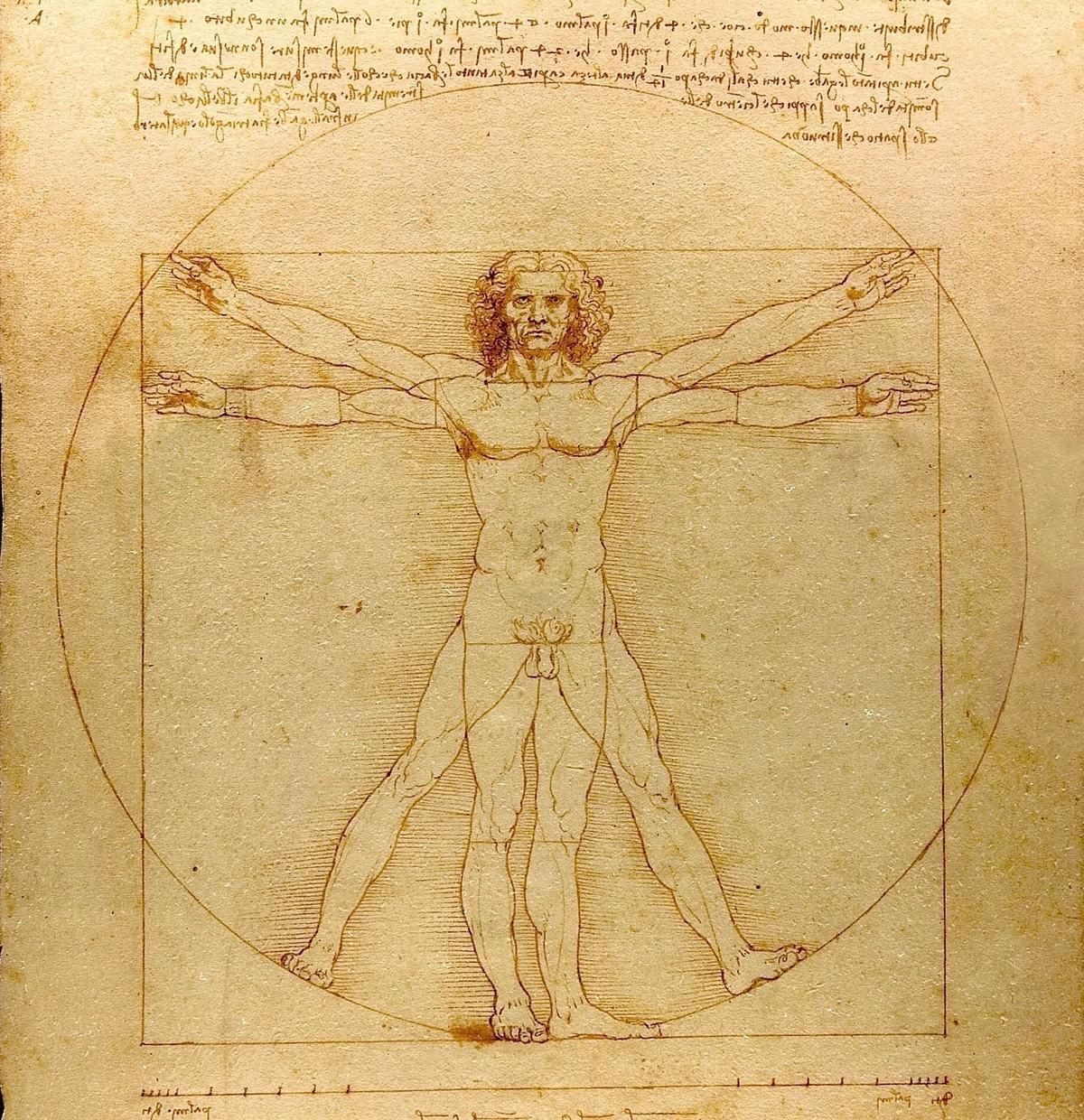 Leonardo da Vinci's Vitruvian Man